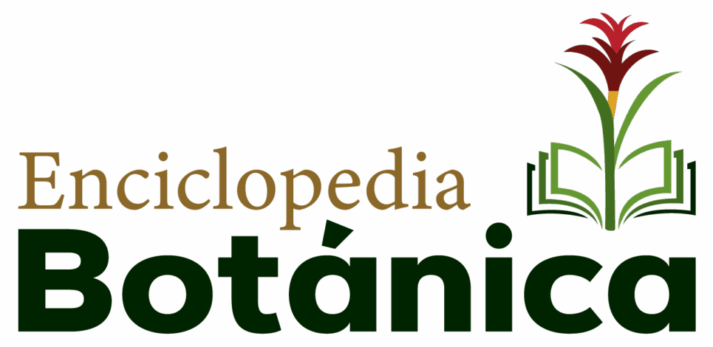 Logo Enciclopedia Botánica