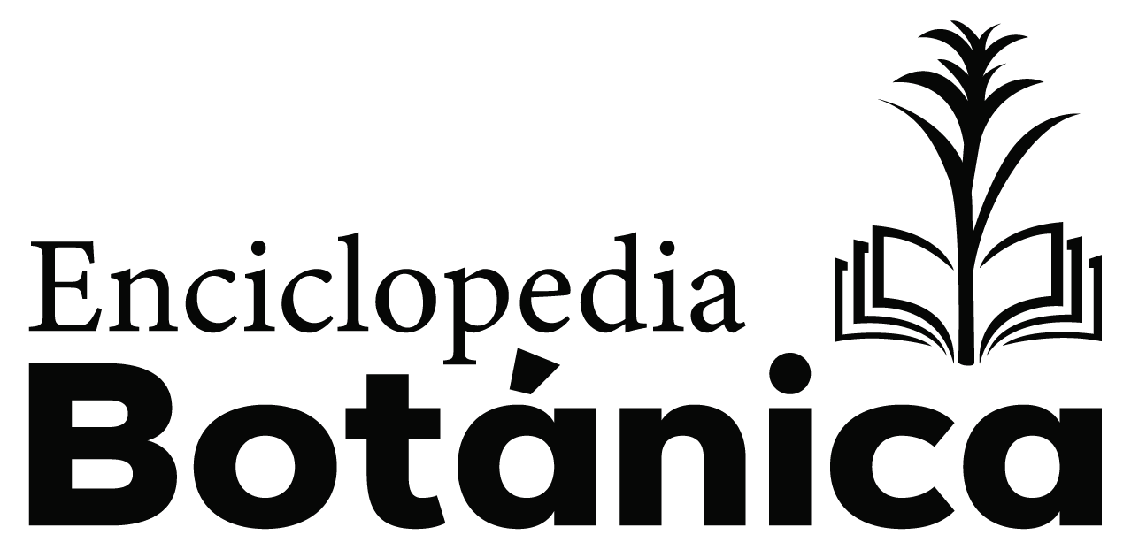 logo enciclopedia_3 ne