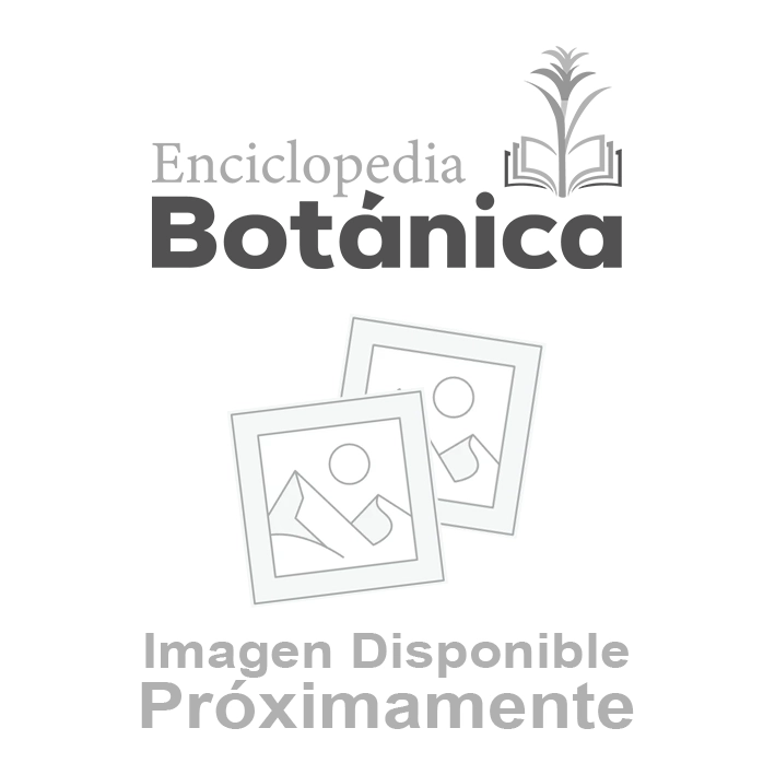 Imagen Proximamente Enciclopedia Botánica
